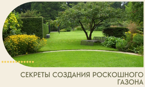 Секреты создания роскошного газона в Кыштыме
